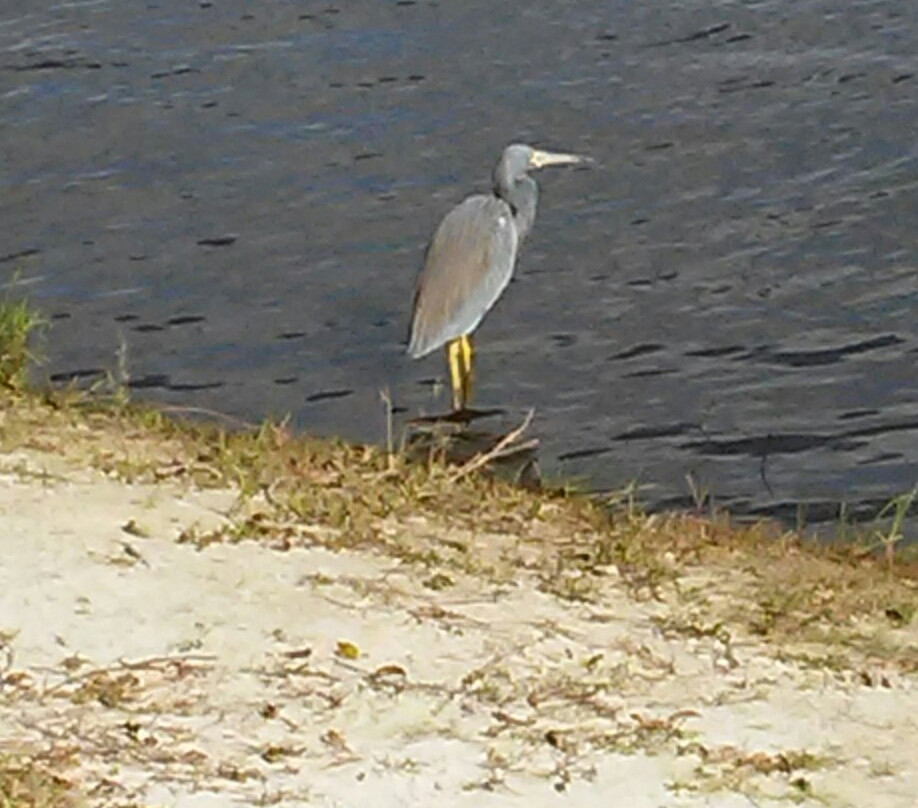 Venice Myakka River Park-Nokomis必去景点