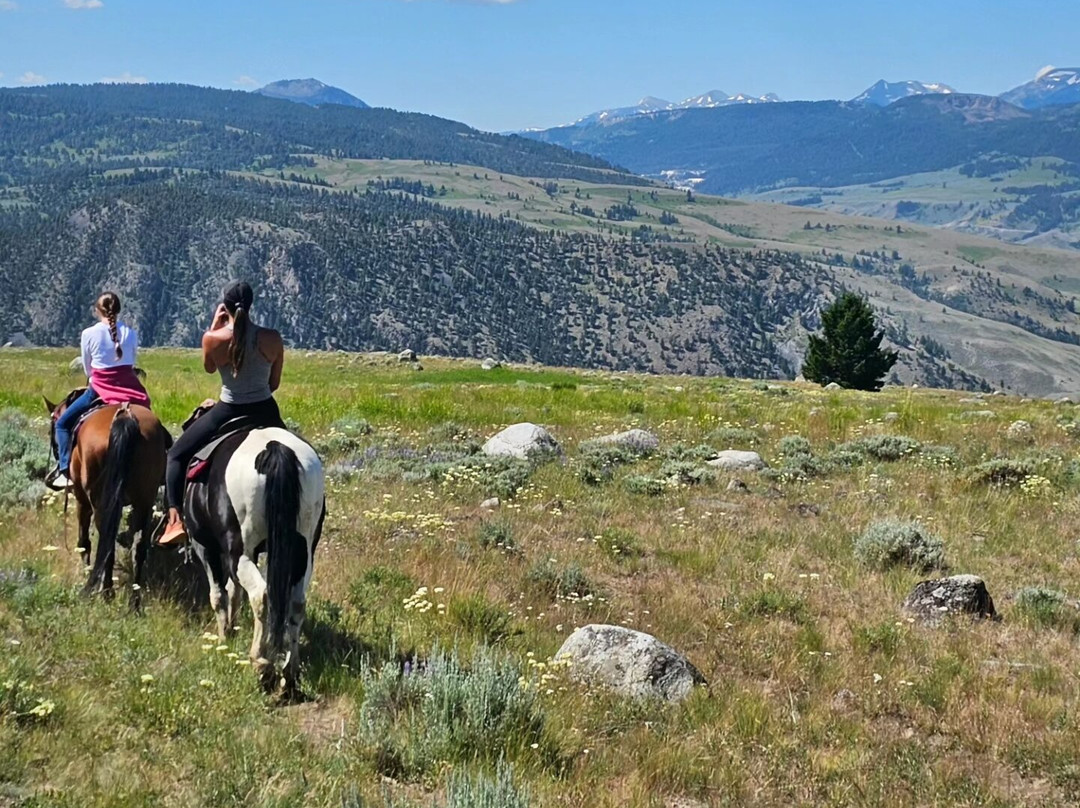Wild West Whitewater Rafting-加德纳必去景点