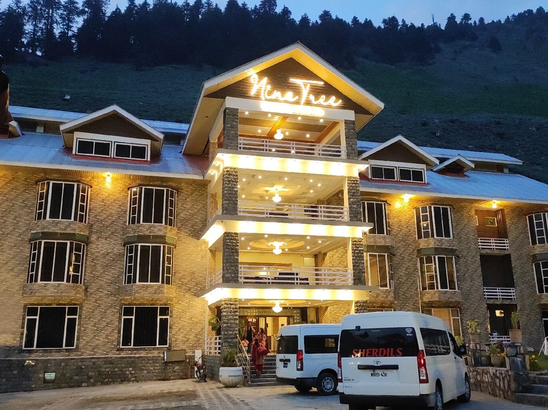 Nine Tree Hotel Naran