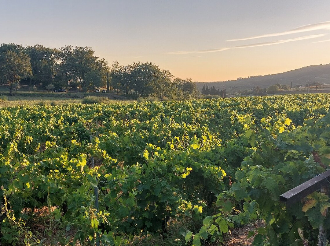 Domaine Saint Apollinaire-Puymeras必去景点