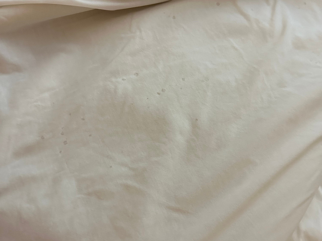 Days Inn & Suites by Wyndham Pocahontas主图