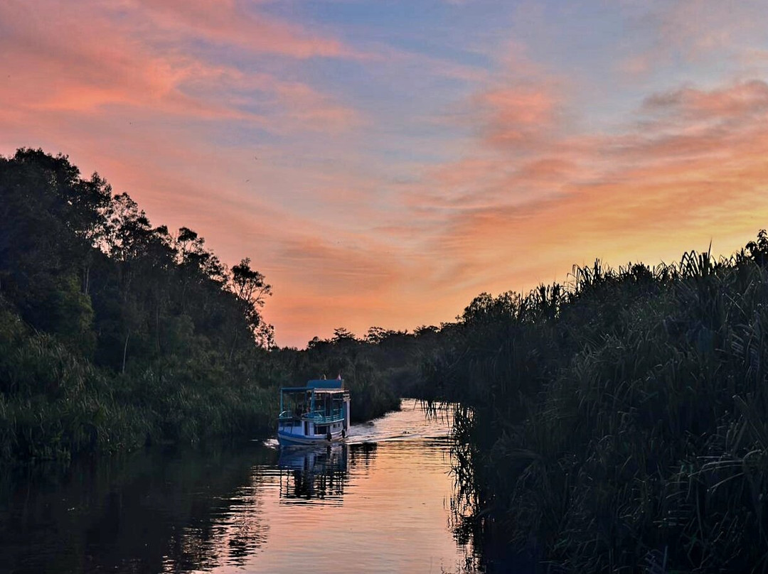 Camp Leakey-Central Kalimantan必去景点