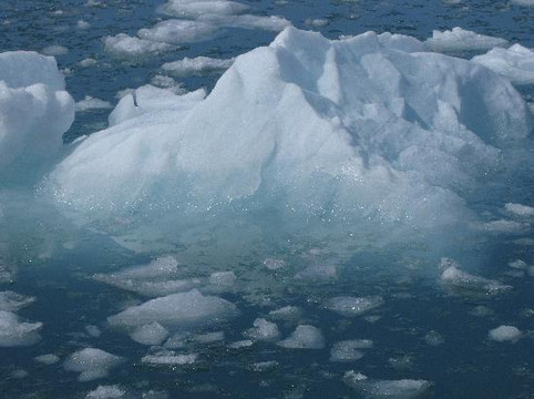 Renown Glacier Cruises & Tours-苏厄德必去景点