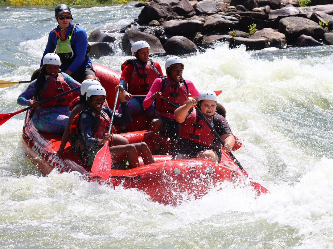 Big Frog Expeditions-Benton必去景点