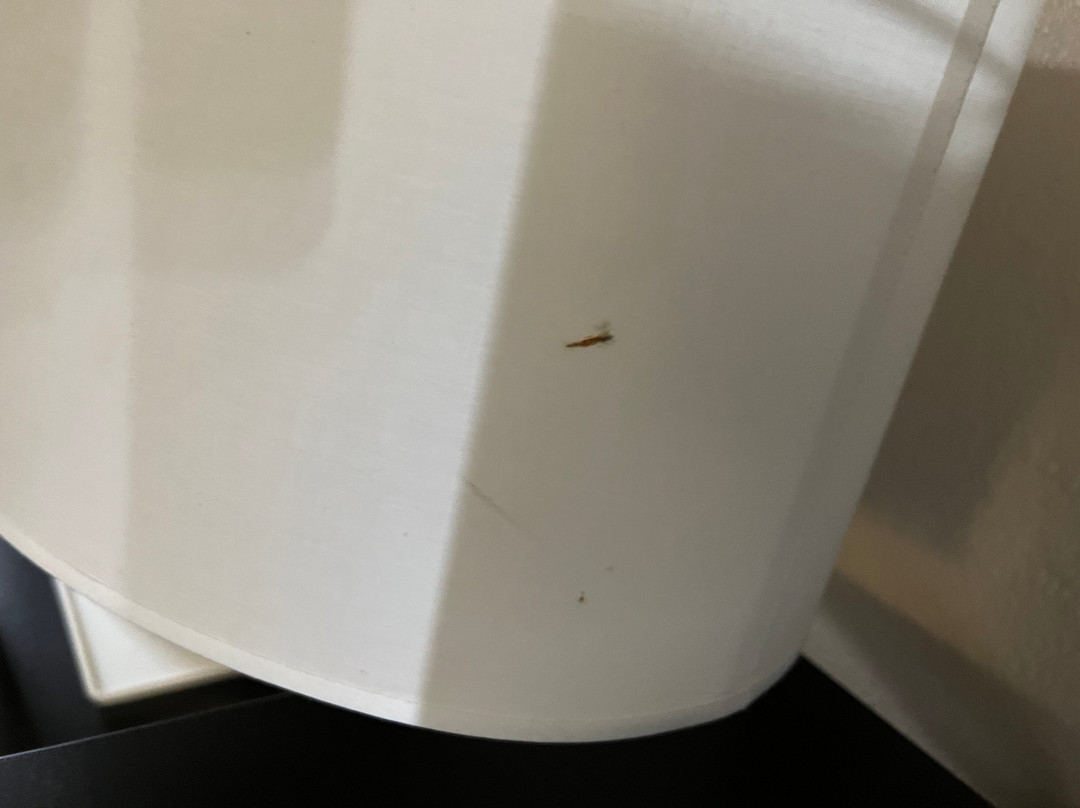 Quality Inn & Suites Brooksville I-75 / Dade City主图