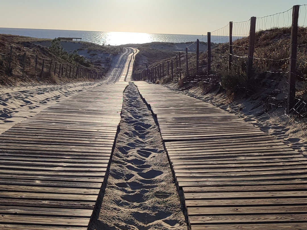 Plage de la Salie-Nord景点图片