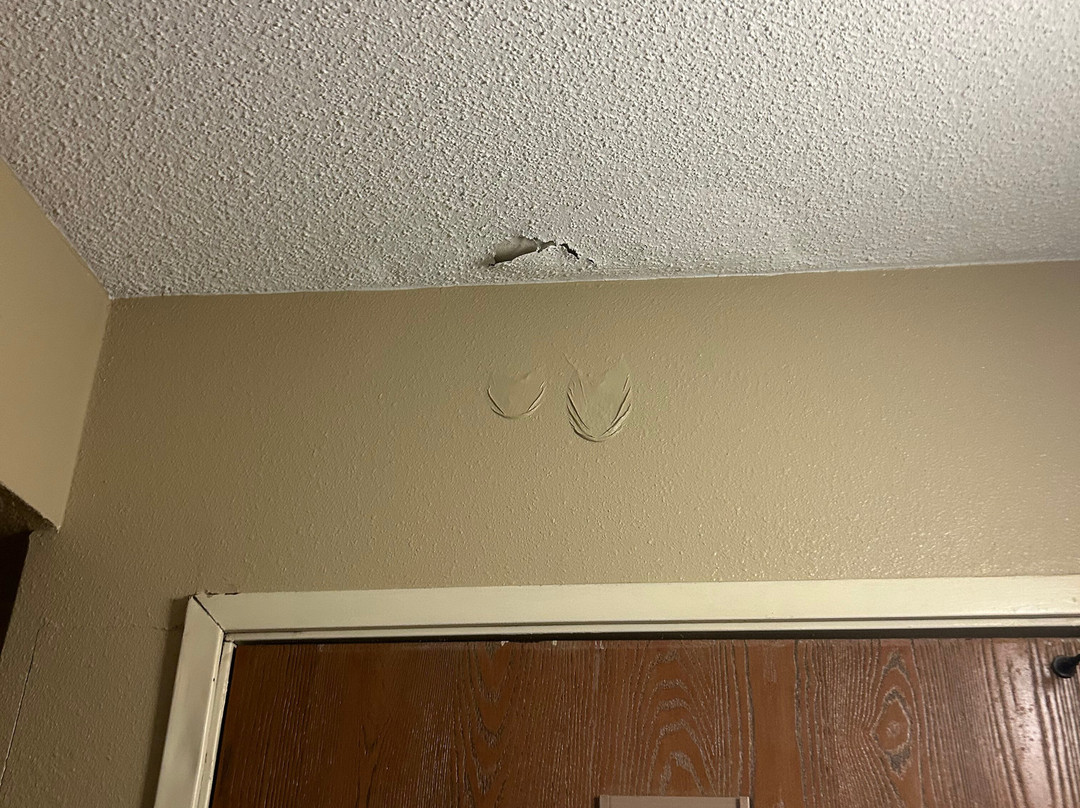 Quality Inn & Suites Downtown Mansfield主图