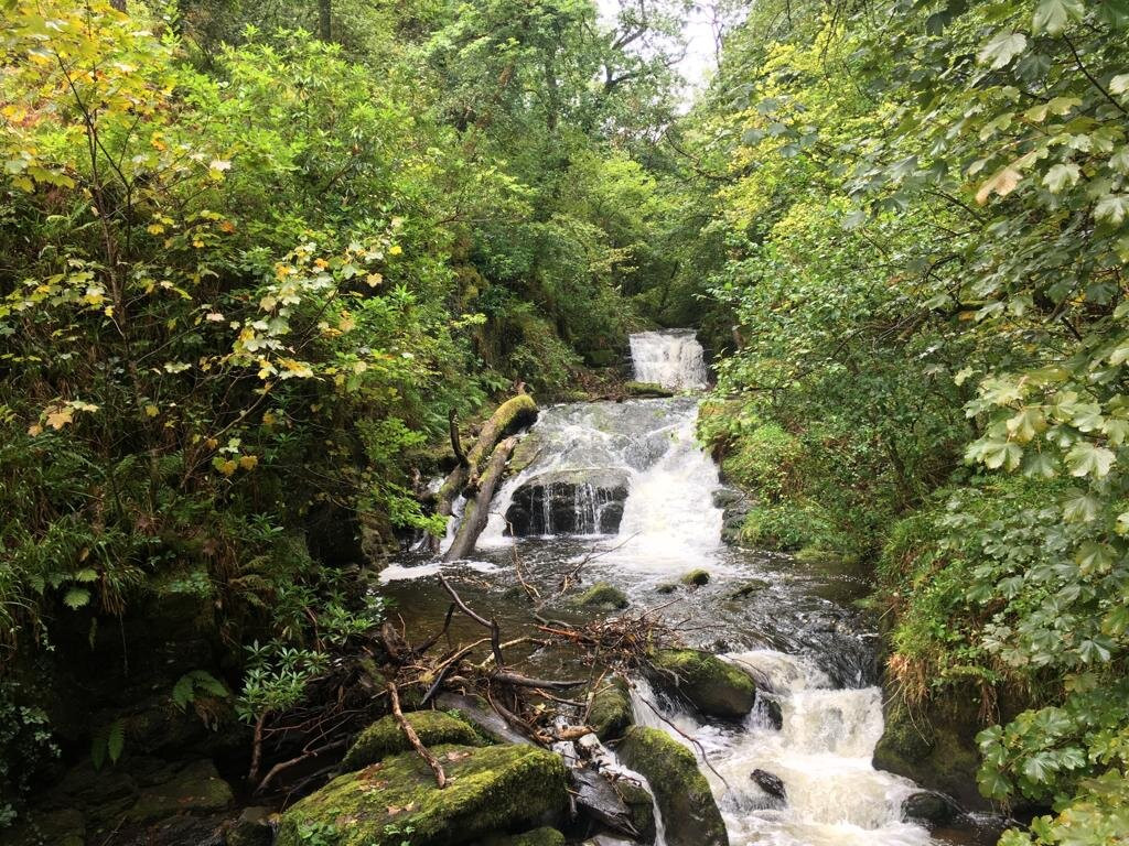 Simonsbath House主图