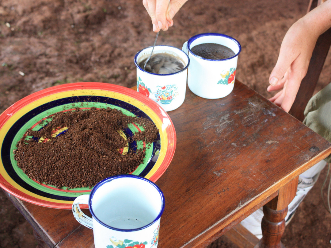 Thomas Coffee Plantation Tours-Sipi必去景点