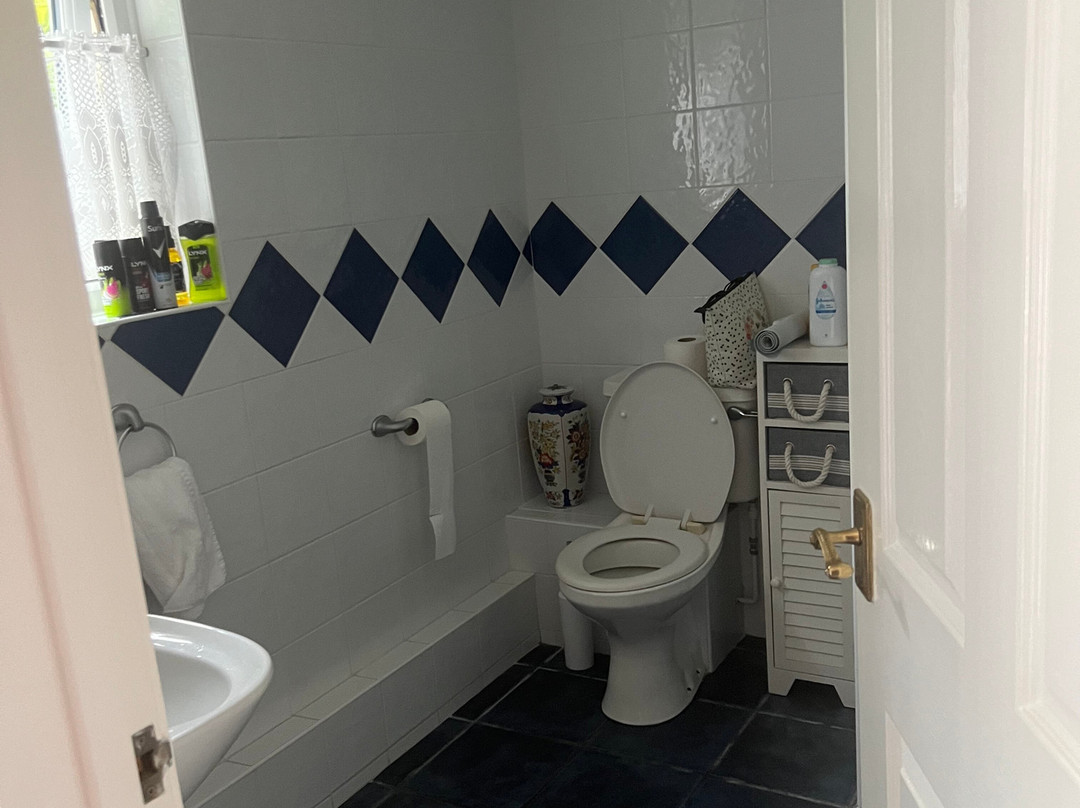 Rosedene Guesthouse主图