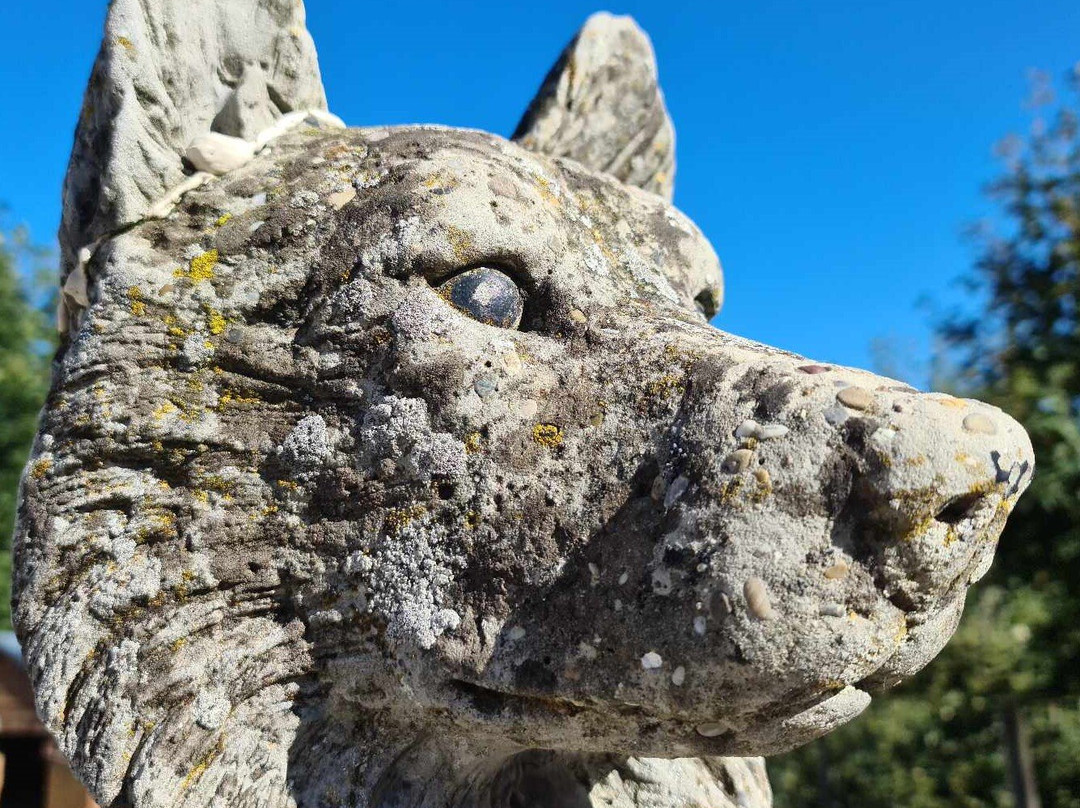 La Ferme des Chiens de Traineaux Aillons Margeriaz-Aillon-le-Jeune必去景点