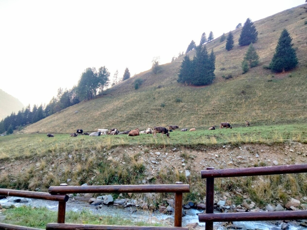 Case Di Pirli-Pezzo必去景点