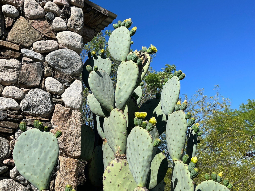 La Teresita Posada主图