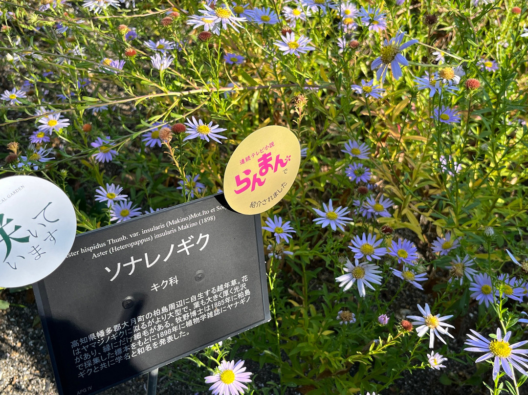 The Kochi Prefectural Makino Botanical Garden-高知市必去景点