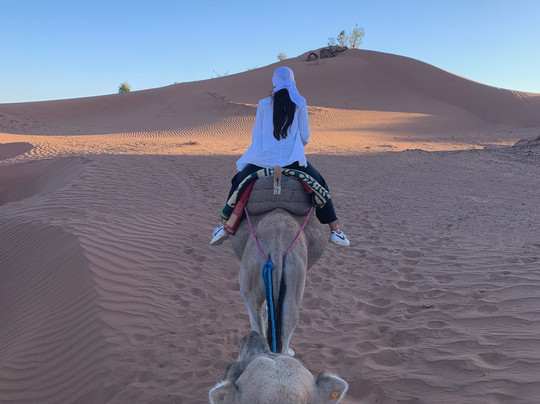 Morocco With Locals-马拉喀什必去景点