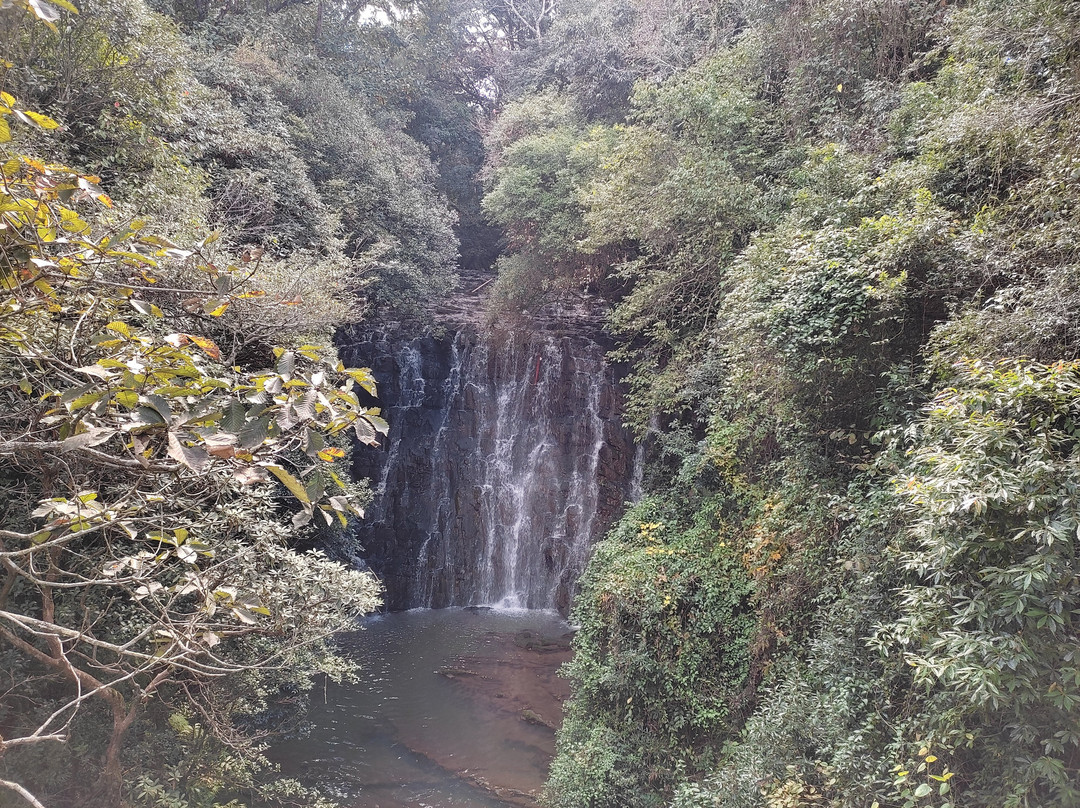 Meghalaya’s Mawlynnong景点图片