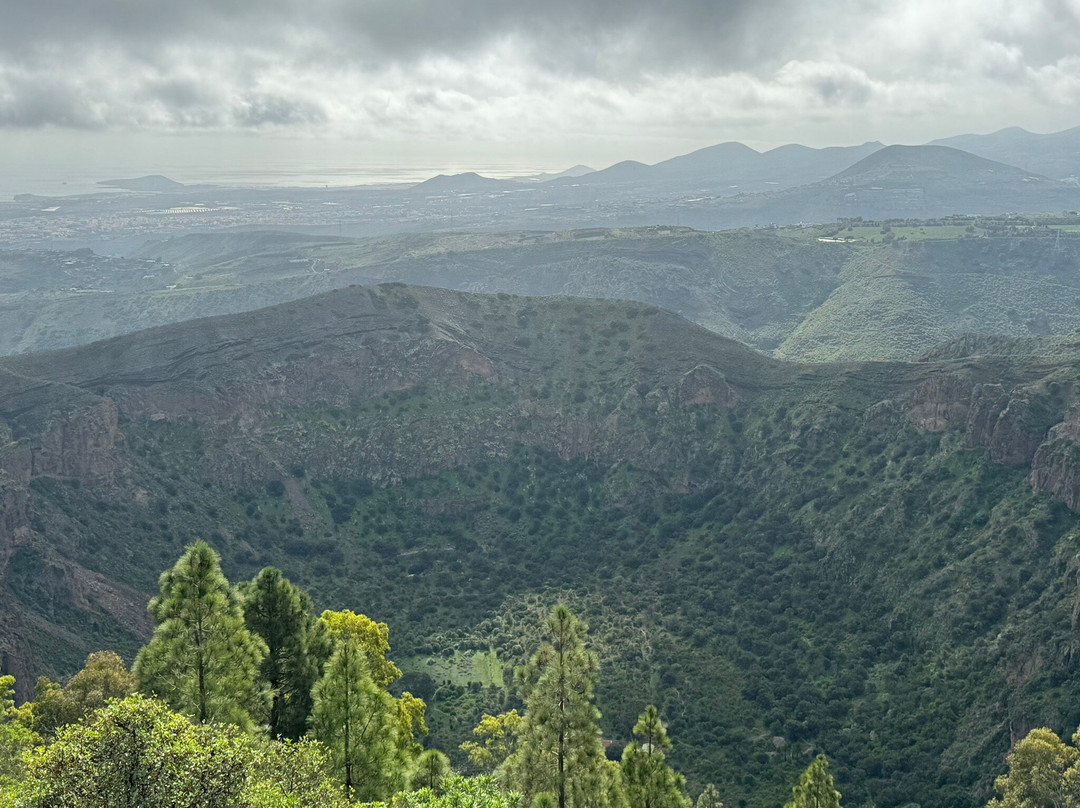 Mirador Pico de Bandama景点图片