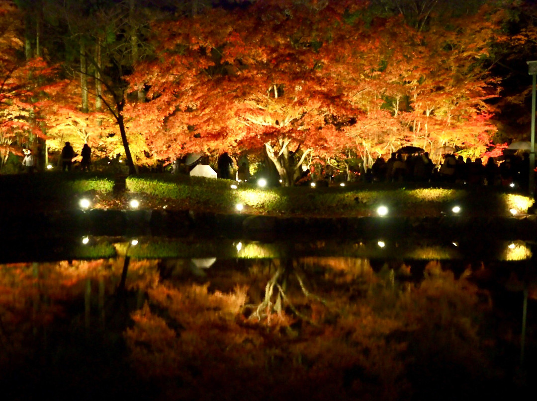 Sogi Park-土岐市必去景点