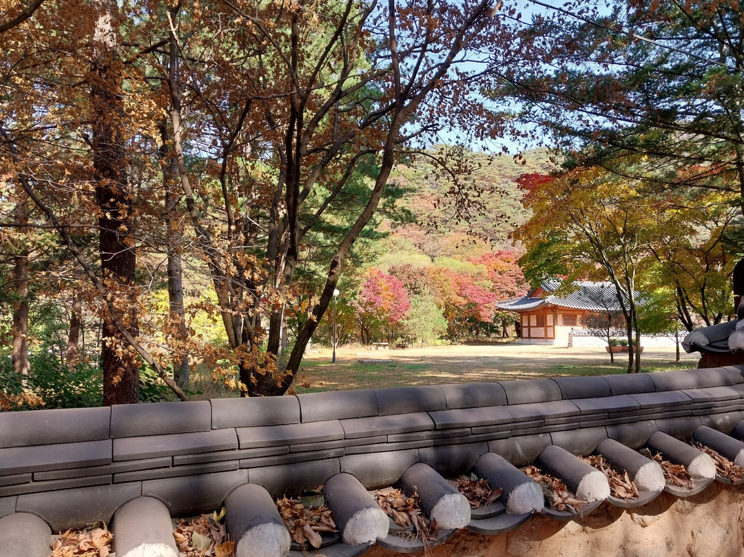 Songnisan National Park-报恩郡必去景点