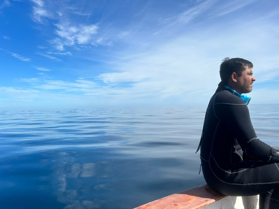 Xoc Baja Tours Cabo Pulmo-Cabo Pulmo必去景点