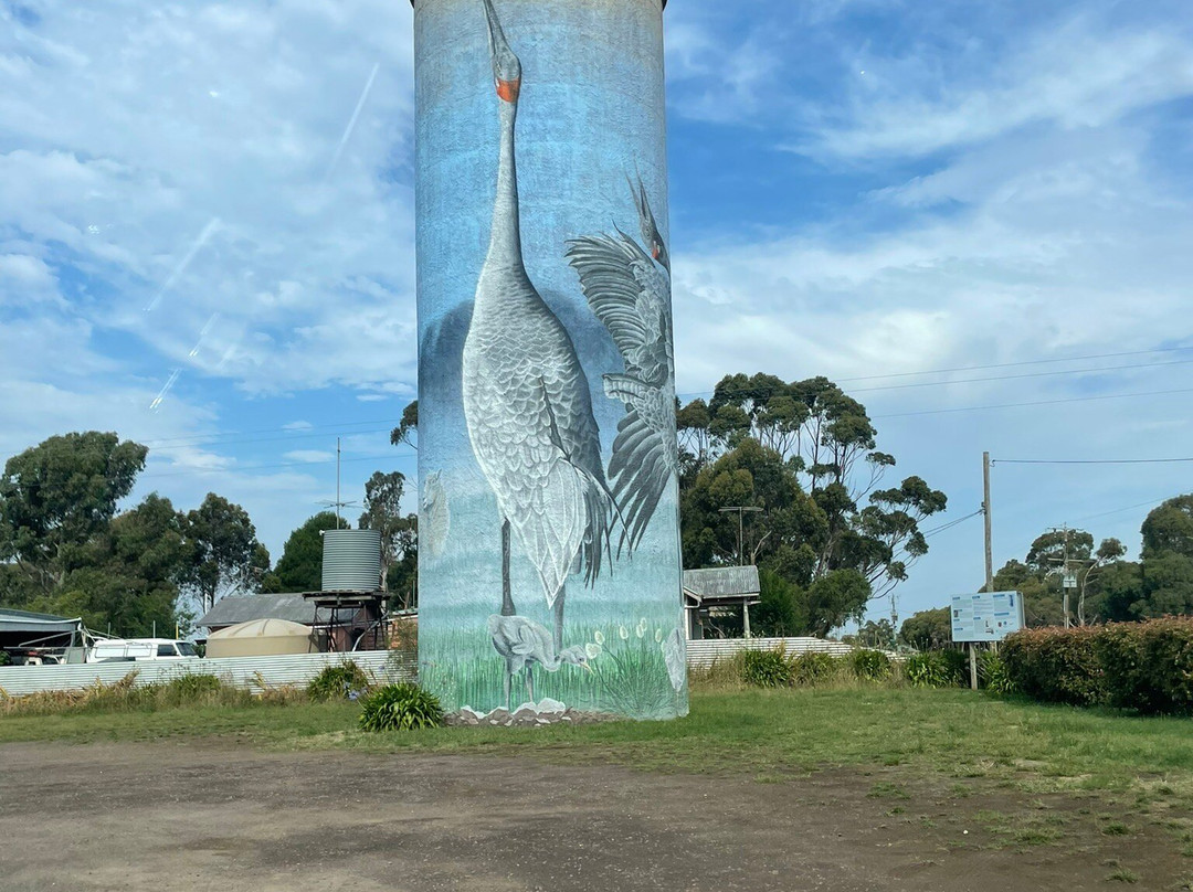 Lismore Water Tower Art