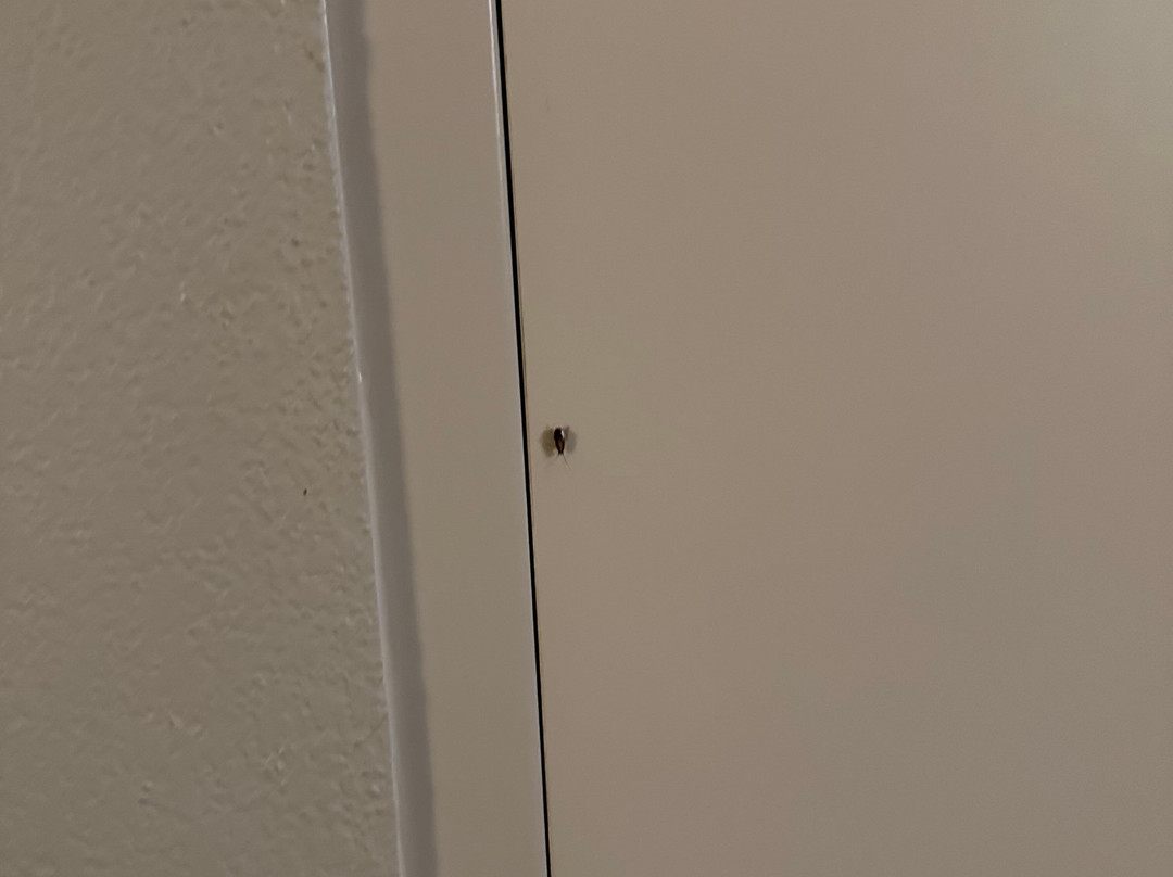 Fairfield by Marriott Inn & Suites Jackson Airport主图