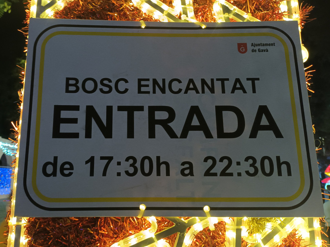 Bosc Encantat