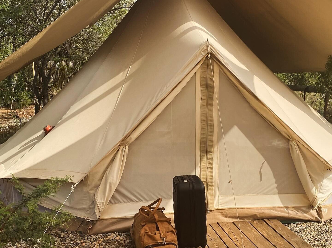The Leadwood Safari Camp