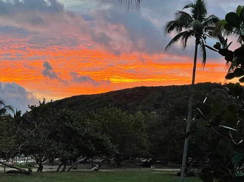 Starfish Jibacoa主图