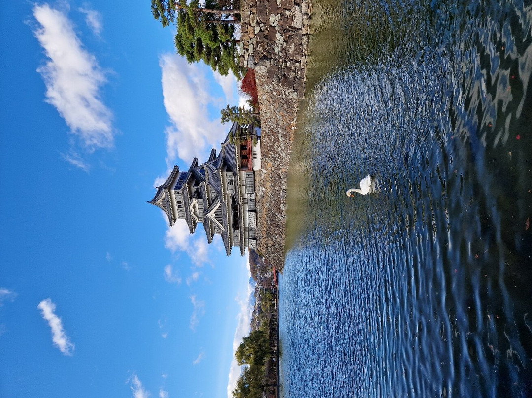 Matsumotojo Park-松本市必去景点