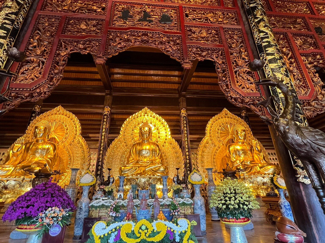 Vm Cars - The Car You Trust-岘港必去景点