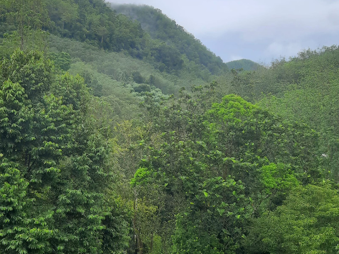 Cottage By Ranmuduella