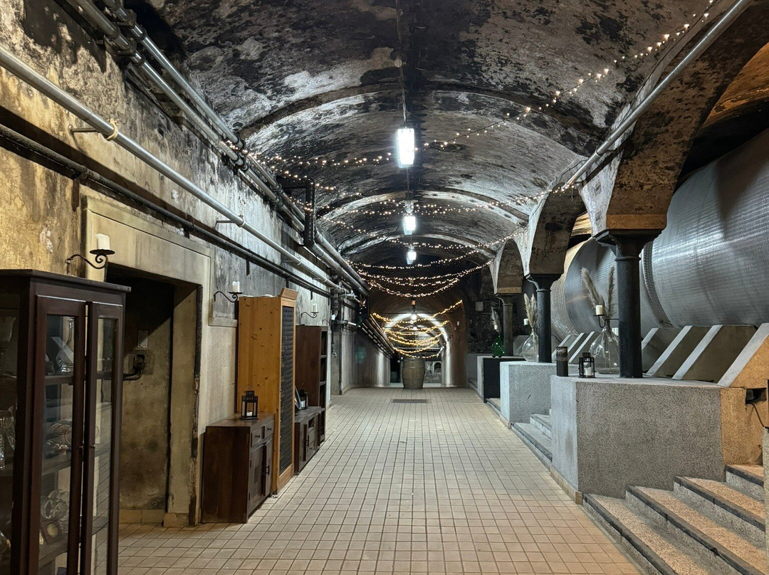 Vinag Wine Cellar-马里博尔必去景点