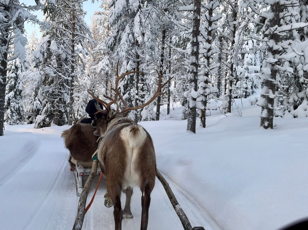Palosaari Reindeer and Fishing Farm-库萨莫必去景点