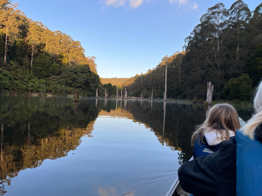 Otway Eco Tours-Forrest必去景点