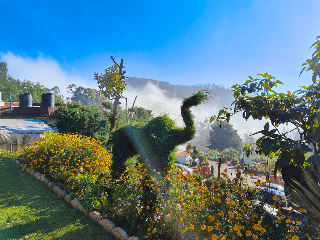 Yantra Resort Ooty主图