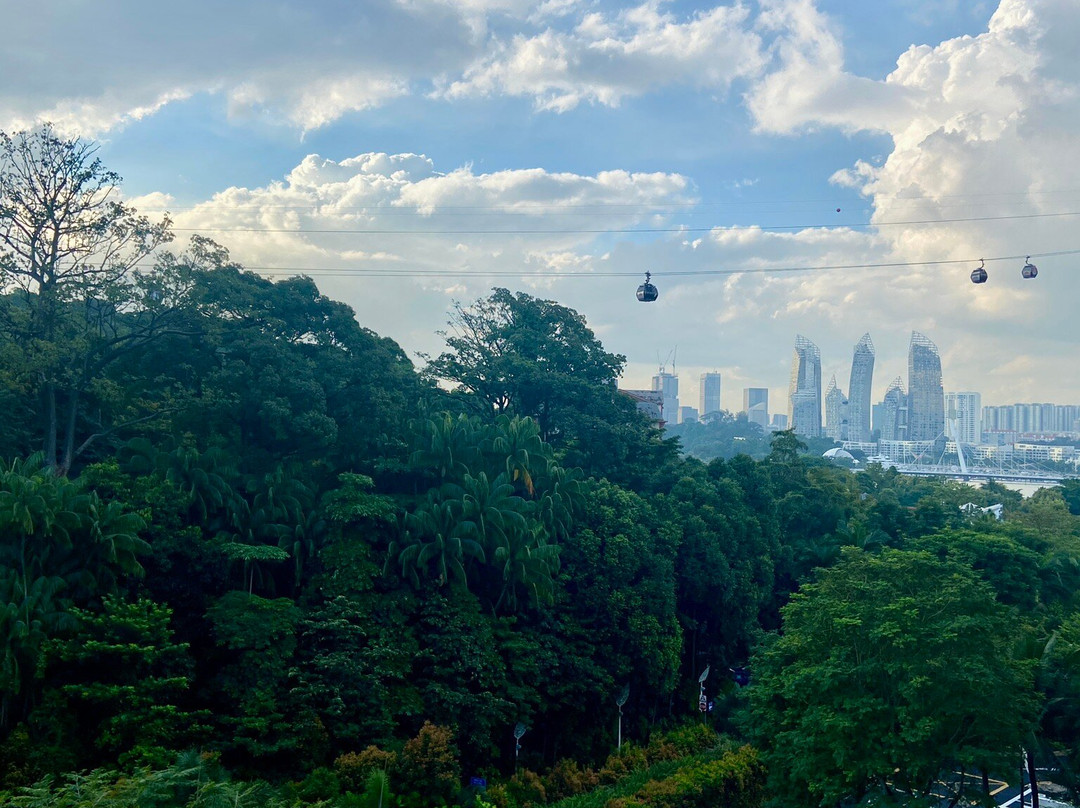 圣淘沙岛酒店住宿-Resorts World Sentosa - Hotel Ora