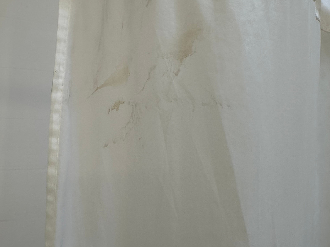 Hampton Inn & Suites Gainesville主图