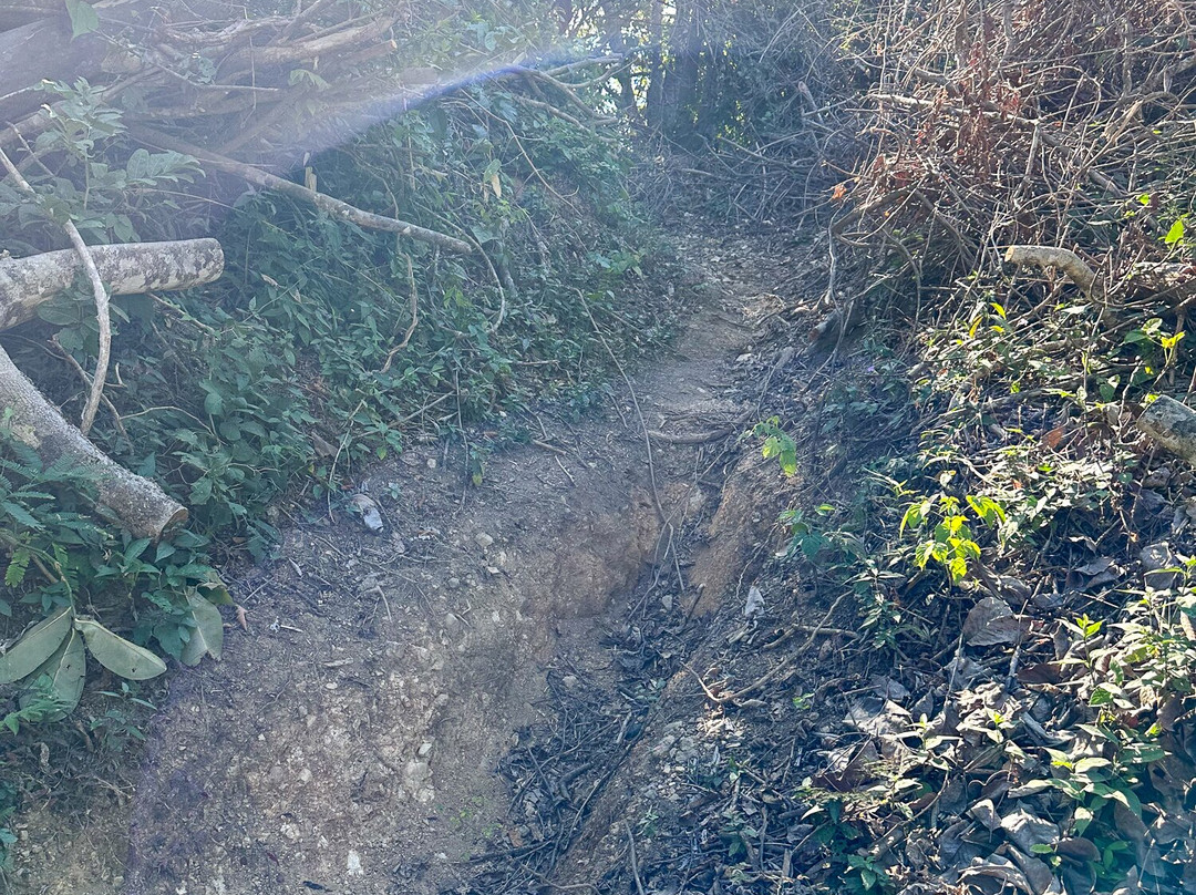 Eco Ride Mountain Bike & Hiking Tours-瓦拉塔港必去景点