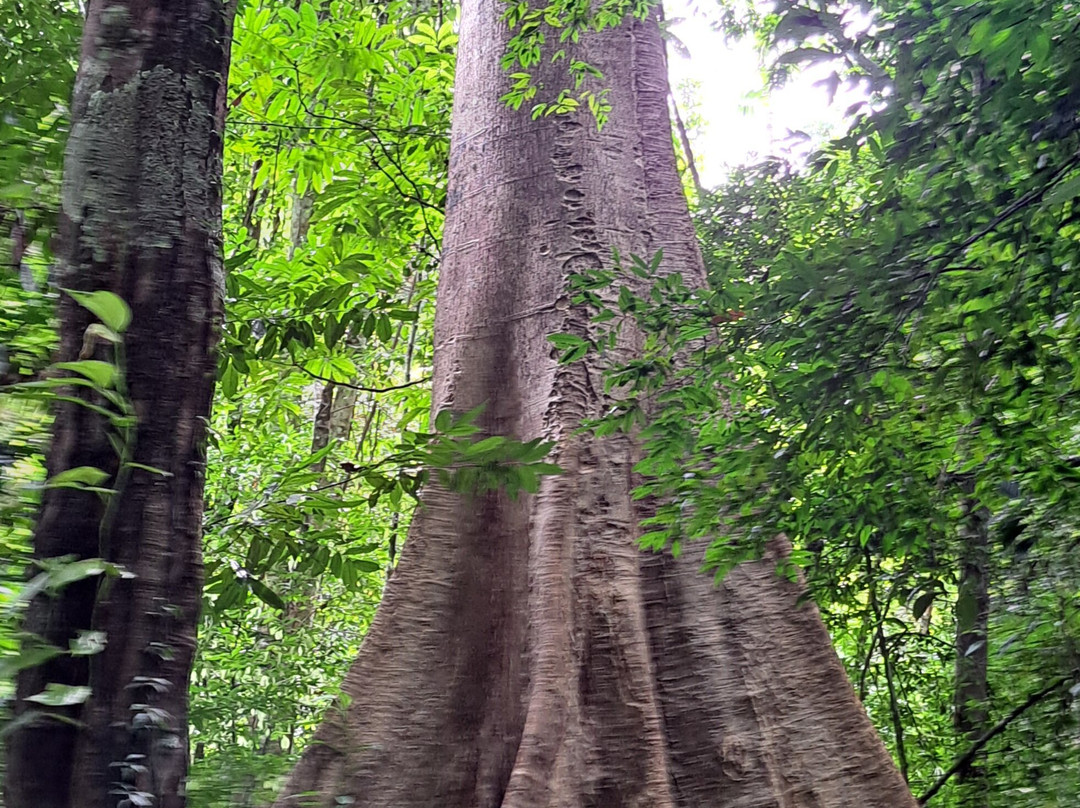 Khao Pra Bang Kharm Wildlife Sanctuary景点图片