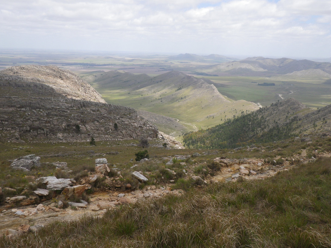 Cerro Tres Picos景点图片