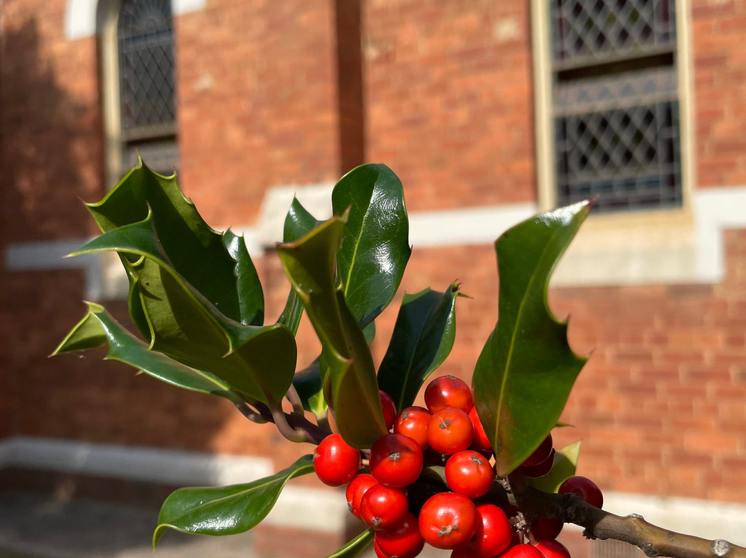 Church Of St John The Apostle-Jamieson必去景点