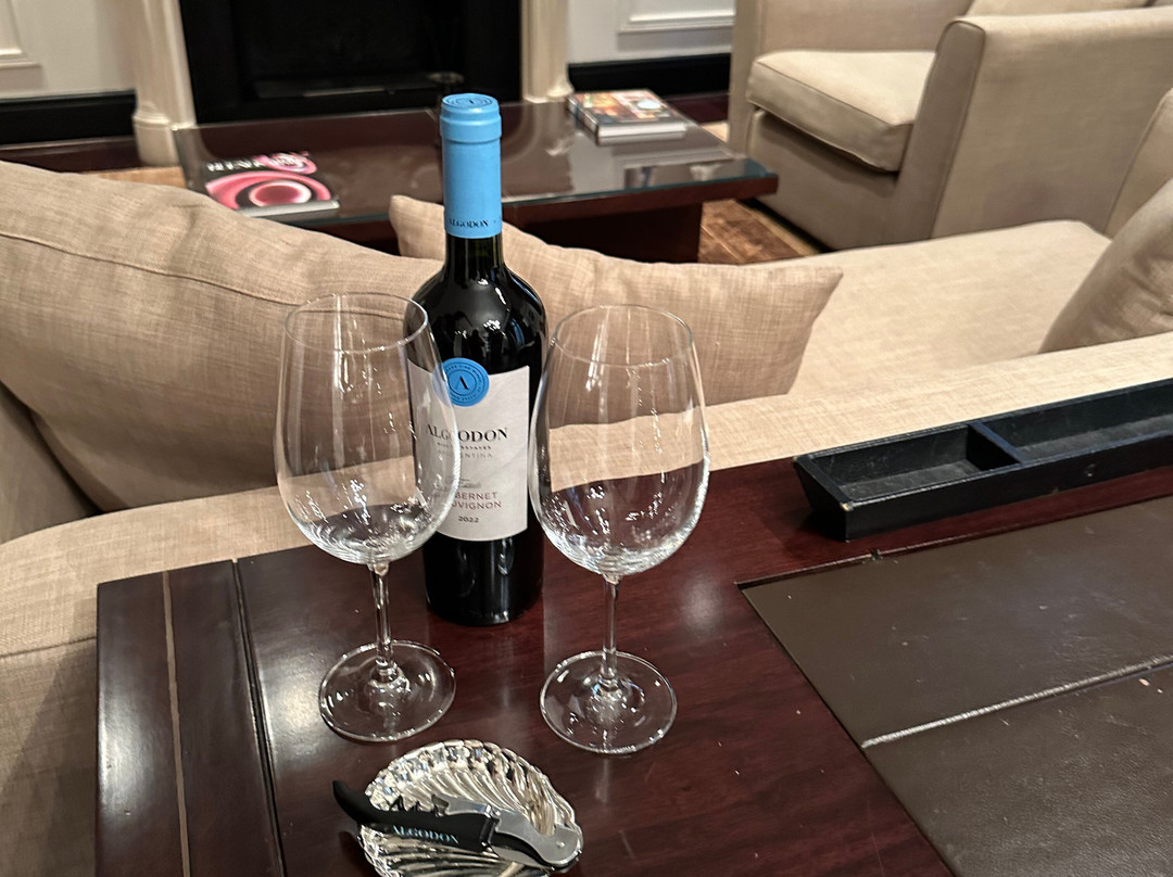 Algodon Mansion主图