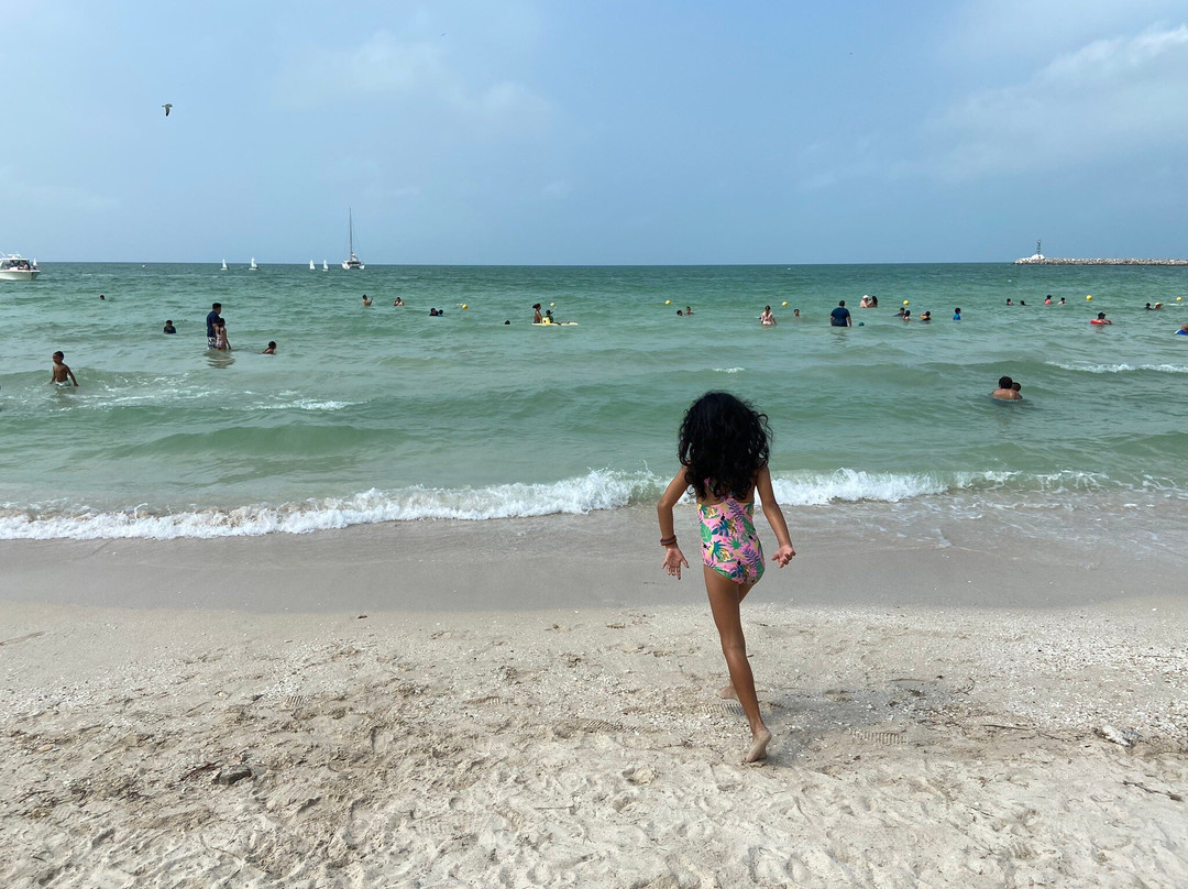 Pig Beach Progreso-Progreso必去景点