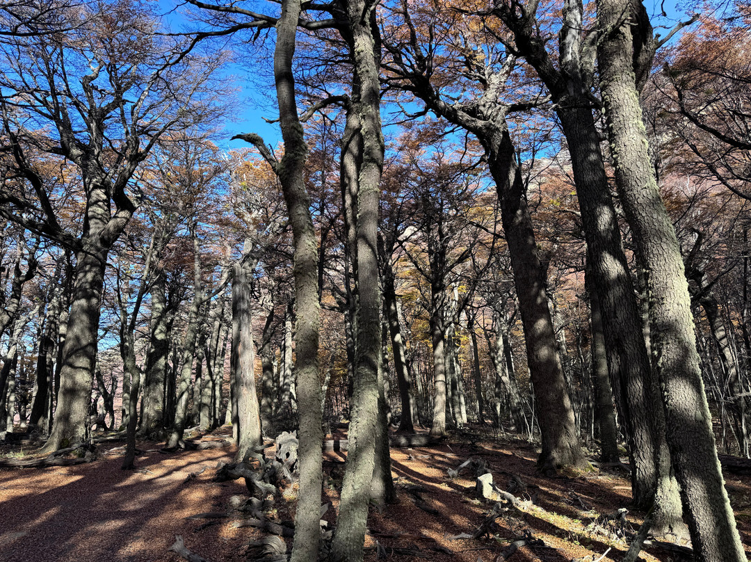 W Circuit-百内国家公园必去景点