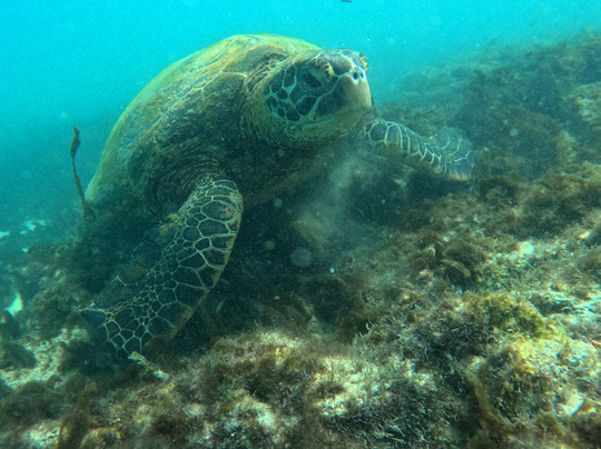 Galapagos Surf Discovery-Puerto Baquerizo Moreno必去景点