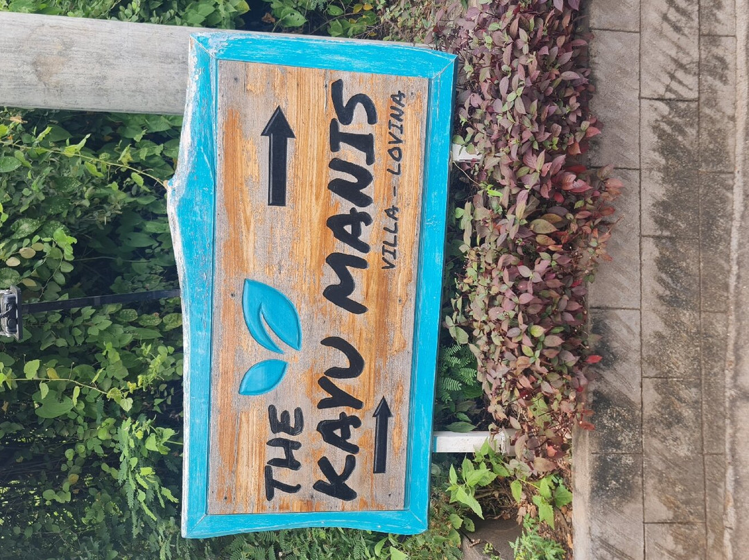 Kayu Manis Villa & Spa主图