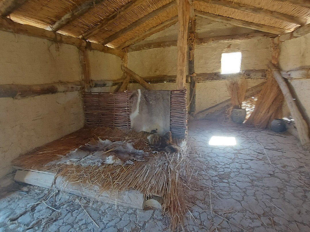 Bay of the Bones Museum-奥赫里德必去景点