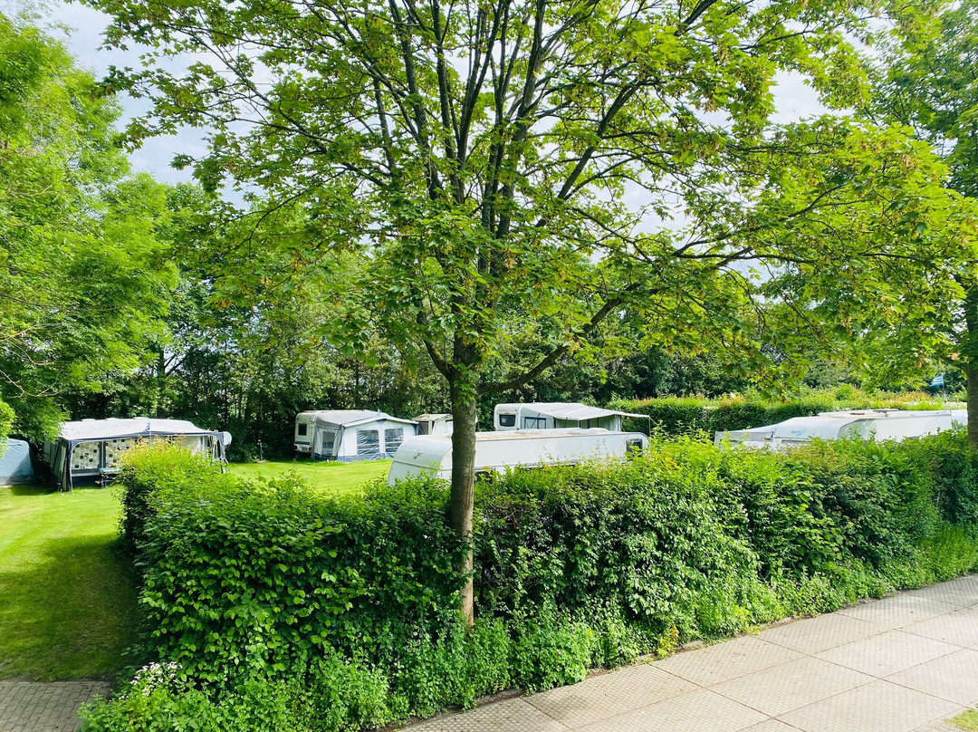 Camping Hart Aan Zee
