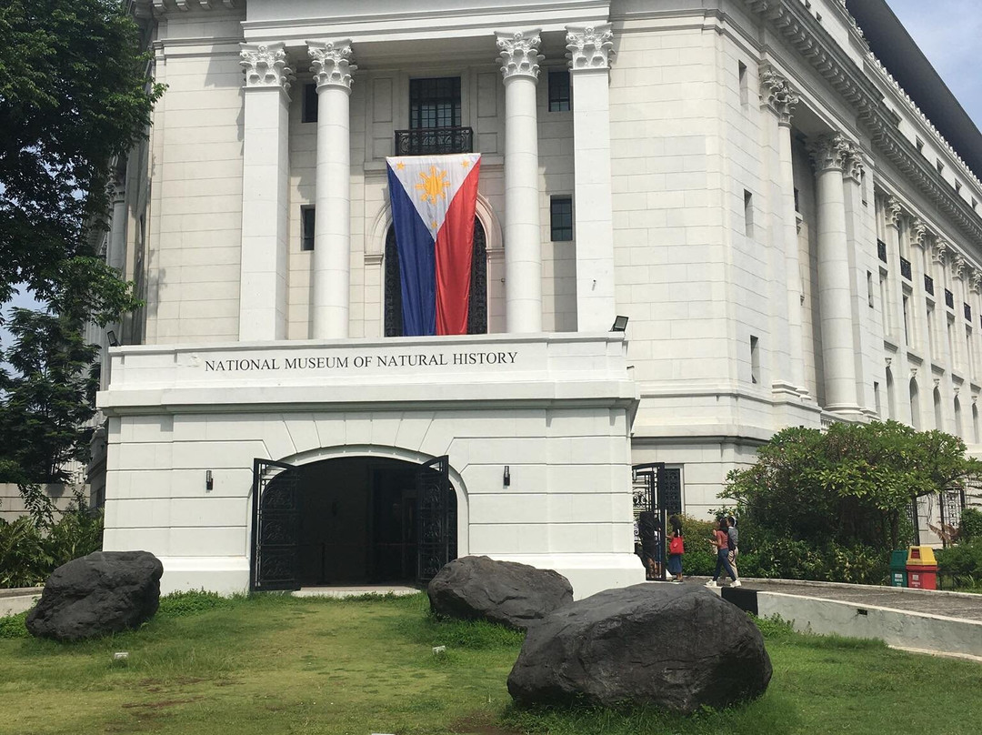 National Museum of Natural History景点图片